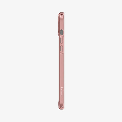 ACS07209 - iPhone 15 Series Ultra Hybrid Case in Natural Titanium showing the back